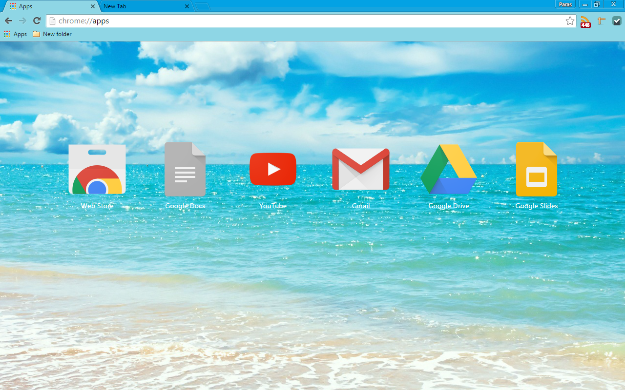 Google Chrome Theme